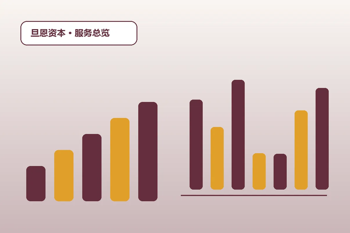旦恩资本费用透明品牌服务总览