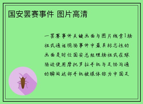 国安罢赛事件 图片高清